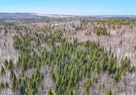 Terrain à vendre - X 2e Rang, Warwick, J0A1C0