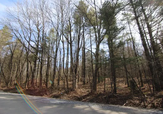 Terrain à vendre - 319 Ch. Bellevue, Bolton-Est, J0E1G0