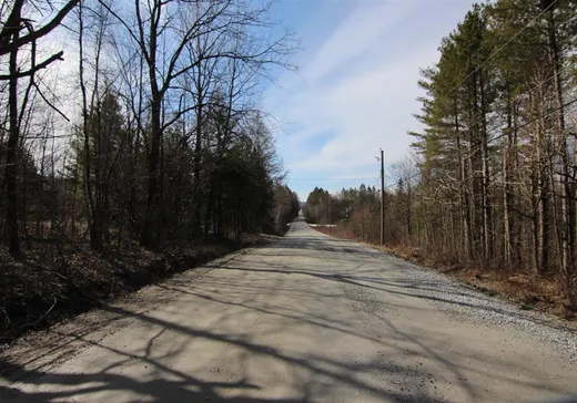 Terrain à vendre - 319 Ch. Bellevue, Bolton-Est, J0E 1G0