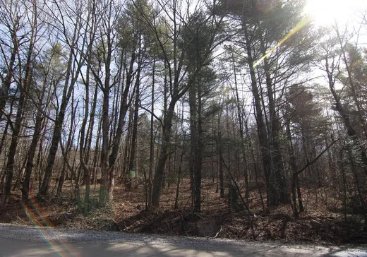 Terrain à vendre - 319 Ch. Bellevue, Bolton-Est, J0E 1G0