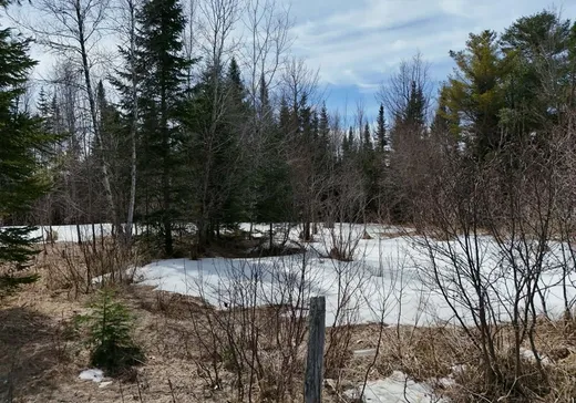 Terrain à vendre - 4406 Route 263, Thetford Mines, G0N 1E1