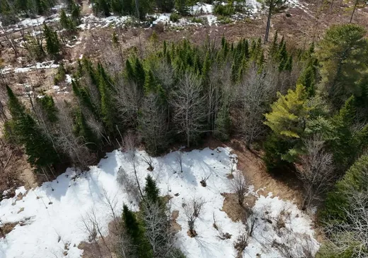 Terrain à vendre - 4406 Route 263, Thetford Mines, G0N 1E1