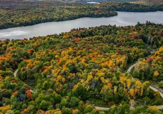 Land for sale -  Ch. du Lac-de-la-Grange, Val Morin, J0T2T0