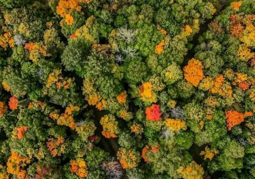 Land for Sale -  Ch. du Lac-de-la-Grange, Val Morin, J0T 2T0