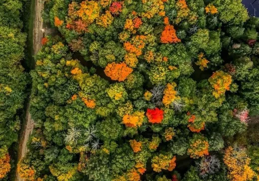 Land for Sale -  Ch. du Lac-de-la-Grange, Val Morin, J0T 2T0