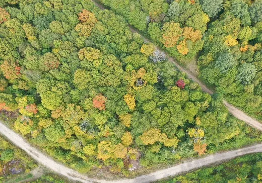 Land for Sale -  Ch. du Lac-de-la-Grange, Val Morin, J0T 2T0