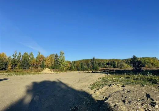 Terrain à vendre - 43 Rue de l'Église, Saint-Honoré-de-Témiscouata, G0L 3K0