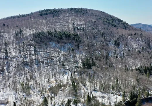 Terrain à vendre -  Ch. des Rapides, St-Remi-D'Amherst, J0T2L0