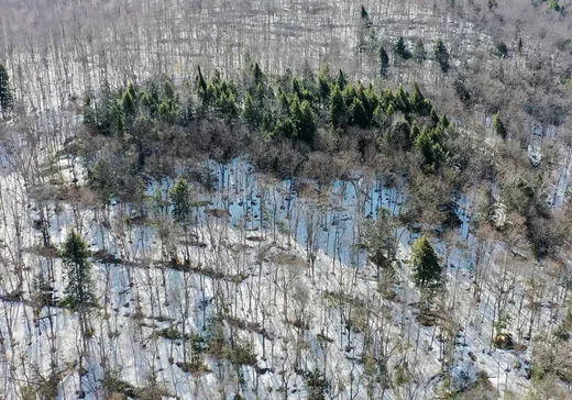 Terrain à vendre -  Ch. des Rapides, St-Remi-D'Amherst, J0T 2L0