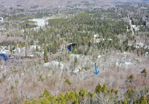 Terrain à vendre -  Ch. de la Montagne, St-Remi-D'Amherst, J0T 2L0
