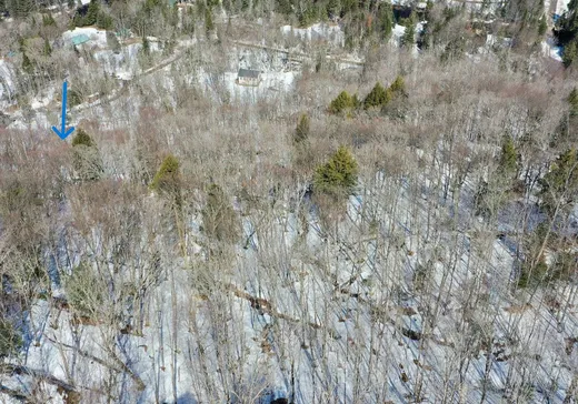 Terrain à vendre -  Ch. de la Montagne, St-Remi-D'Amherst, J0T 2L0