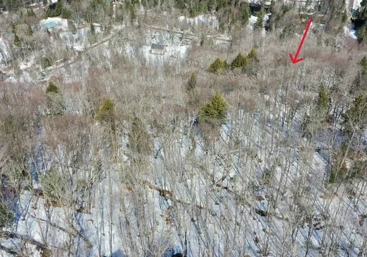 Terrain à vendre -  Ch. de la Montagne, St-Remi-D'Amherst, J0T2L0