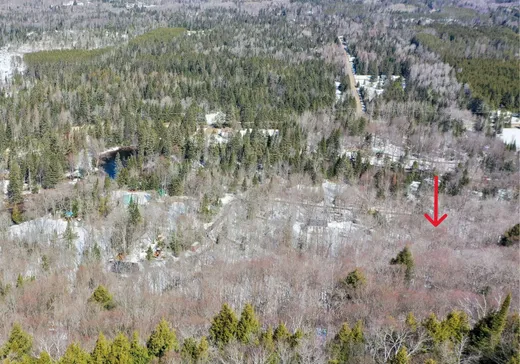 Terrain à vendre -  Ch. de la Montagne, St-Remi-D'Amherst, J0T 2L0