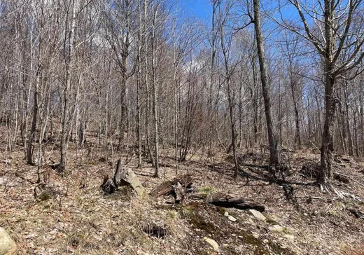 Terrain à vendre -  Ch. du Lac-Gustave, Wentworth, J0T 1Y0