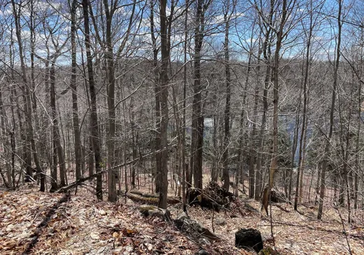 Terrain à vendre -  Ch. du Lac-Gustave, Wentworth, J0T 1Y0