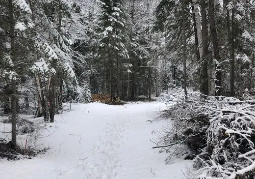 Land for Sale -  Ch. Gérald, Saint-Michel-des-Saints, J0K 3B0