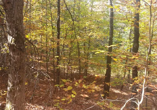 Terrain à vendre -  Ch. de Harrington, Laval (Sainte-Dorothee), H1N 1N1