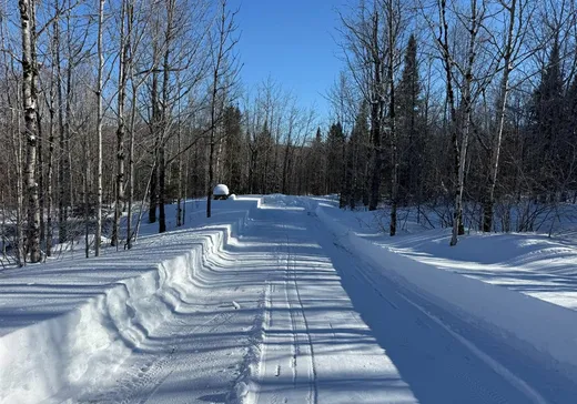 Land for sale - 21 Ch. des Petits-Sabots, Notre-Dame-Des-Boies, J0B2E0