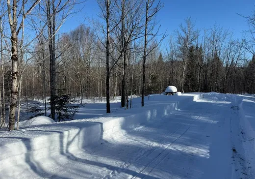 Land for Sale - 21 Ch. des Petits-Sabots, Notre-Dame-Des-Boies, J0B 2E0