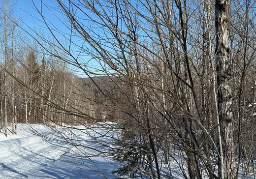 Land for Sale - 21 Ch. des Petits-Sabots, Notre-Dame-Des-Boies, J0B 2E0