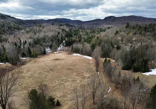 Land for sale - 75Z Ch. Ward, Harrington, J8G2S4