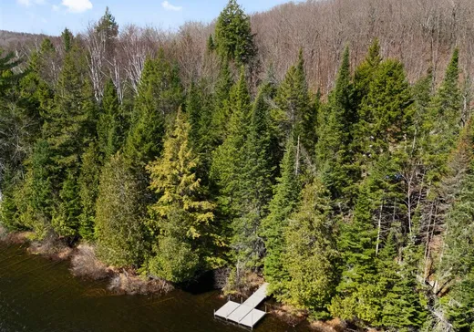 Terrain à vendre - 126 Ch. des Perdrix, Stratford, G0Y 1P0