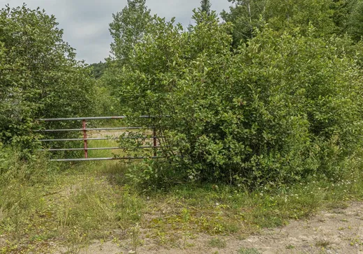 Terrain à vendre -  Ch. du Lac-des-Trois-Frères, St-Adolphe d'Howard, J0T 2B0