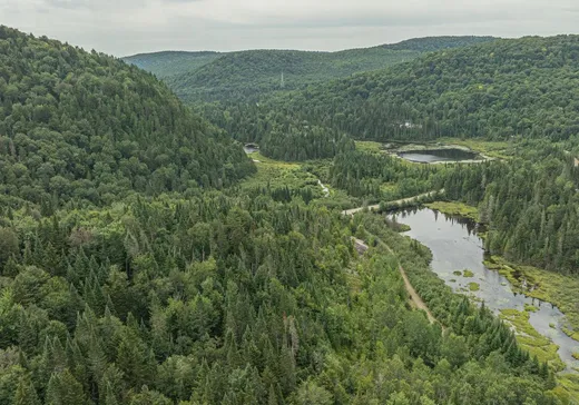 Terrain à vendre -  Ch. du Lac-des-Trois-Frères, St-Adolphe d'Howard, J0T 2B0
