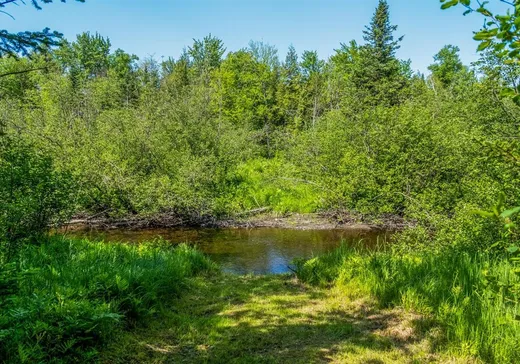 Land for Sale - 1931Z Ch. Gendron, Sherbrooke, J1R 0J6