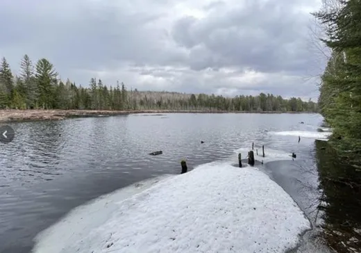 Terrain à vendre - 1000 Ch. des Chardonnerets, Nominingue, J0W1R0