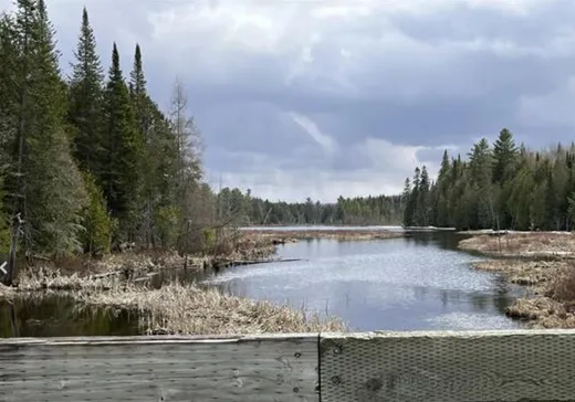 Terrain à vendre - 1000 Ch. des Chardonnerets, Nominingue, J0W 1R0