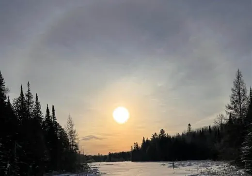 Terrain à vendre - 1000 Ch. des Chardonnerets, Nominingue, J0W 1R0