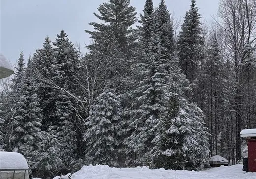 Terrain à vendre - 1000 Ch. des Chardonnerets, Nominingue, J0W 1R0