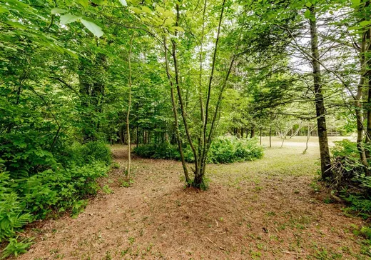 Terrain à vendre - 695 Ch. de Stanstead, Stanstead, J0B 3E3