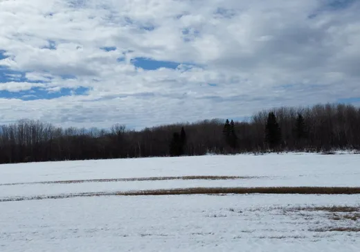 Terrain à vendre - 9 Ch. du Quai, La Motte, J0Y1T0