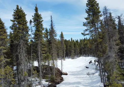 Terrain à vendre - 8 Rue Groleau, Val-d'Or, J9P 4P5