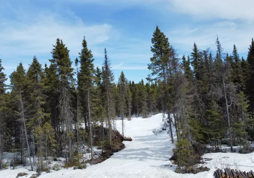 Terrain à vendre - 8 Rue Groleau, Val-d'Or, J9P 4P5