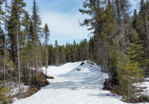 Terrain à vendre - 8 Rue Groleau, Val-d'Or, J9P 4P5