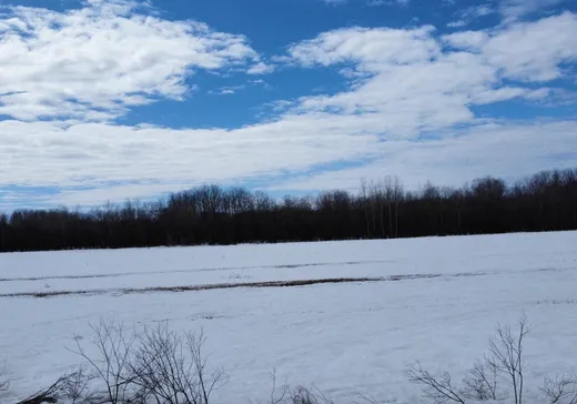 Terrain à vendre - 10 Ch. du Quai, La Motte, J0Y1T0