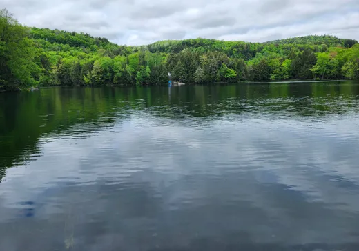 Land for sale -  Ch. Sabourin, Val-des-Bois, J0X3C0