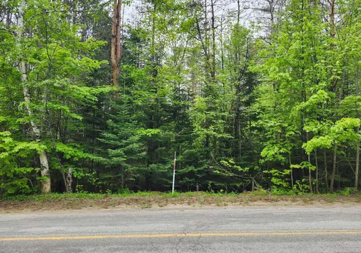 Land for Sale -  Ch. Sabourin, Val-des-Bois, J0X 3C0