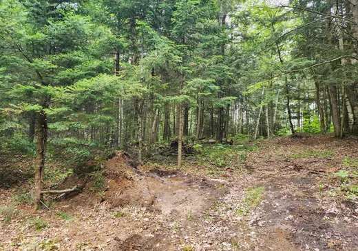 Land for Sale -  Ch. Sabourin, Val-des-Bois, J0X 3C0