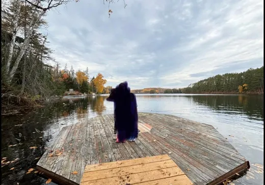 Terrain à vendre - 2 Ch. Belmont, Otter Lake, J0X 2P0