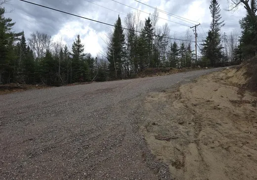 Terrain à vendre - 2 Ch. Belmont, Otter Lake, J0X 2P0