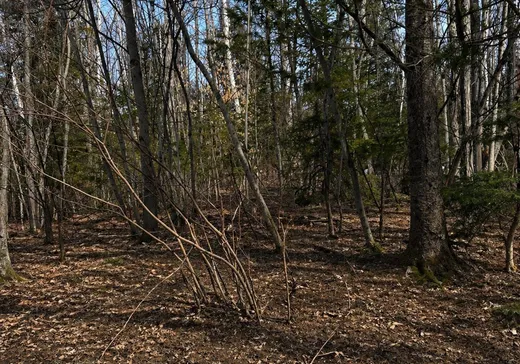 Land for Sale -  Rue Alex, Rawdon, J0K 1S0