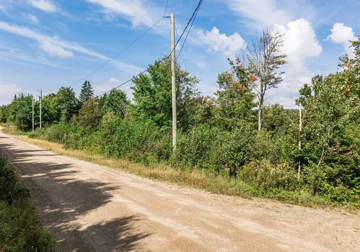 Terrain à vendre - 128 Ch. du Corbeau, Notre-Dame-Des-Boies, J0B 2E0