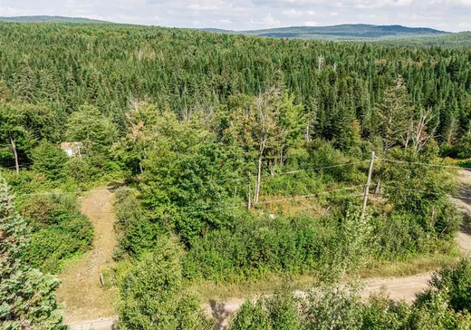 Terrain à vendre - 128 Ch. du Corbeau, Notre-Dame-Des-Boies, J0B 2E0