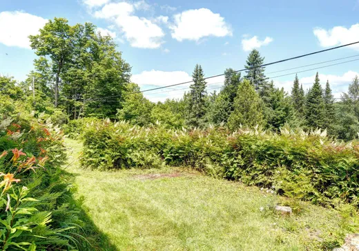 Terrain à vendre - 361Z Ch. St-Jean, Sainte-Agathe-des-Monts, J8C 3A2