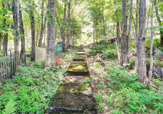 Terrain à vendre - 361Z Ch. St-Jean, Sainte-Agathe-des-Monts, J8C 3A2