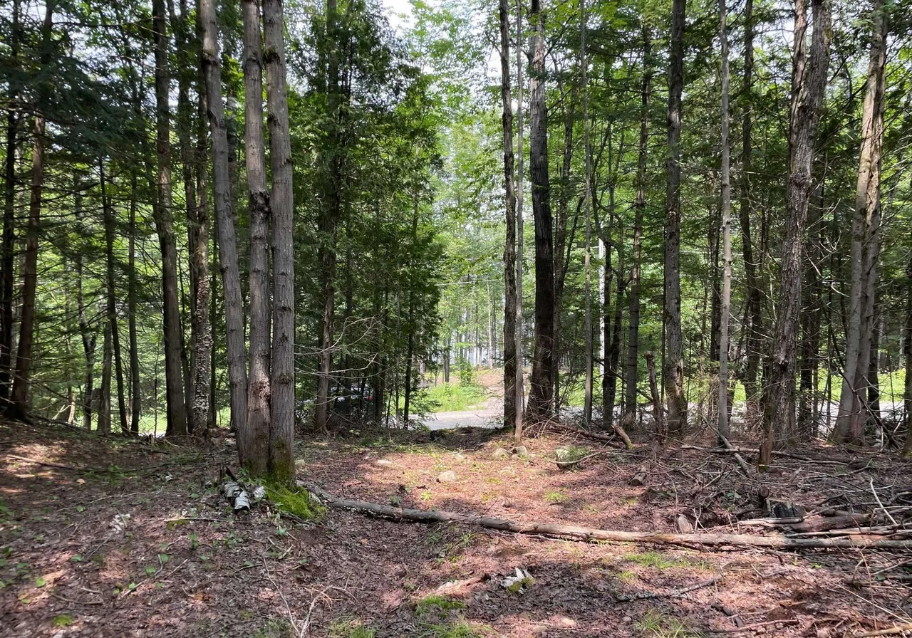 Ch. du Lac-Hughes O. — photo 3